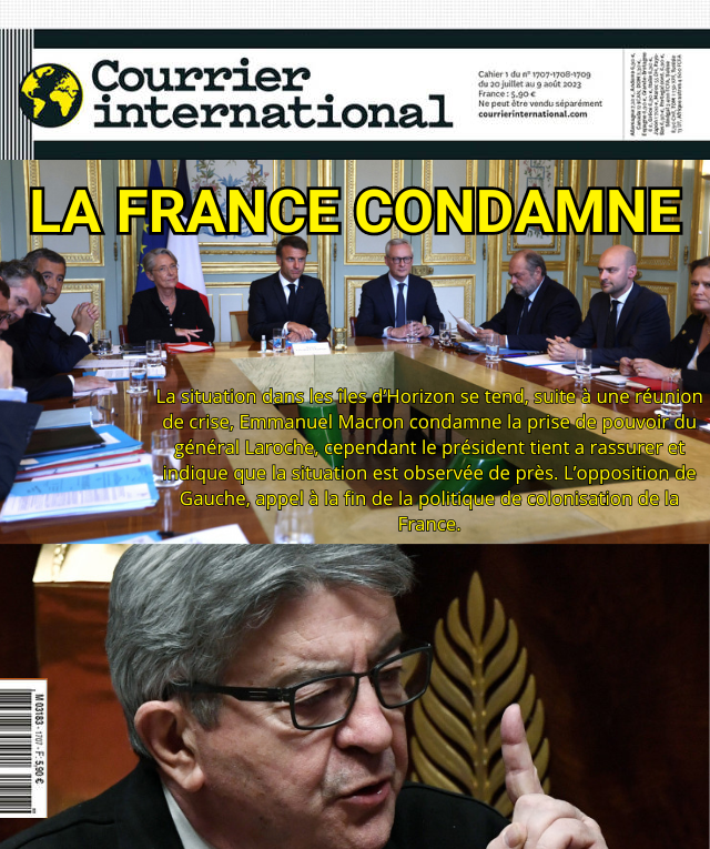 LA FRANCE CONDAMNE (1).png