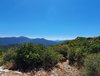 IMG-20200829-WA0006.jpg