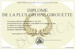700-1092820-Diplome-de-la-plus-grosse-girouette.jpg