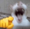 1704734831704.png
