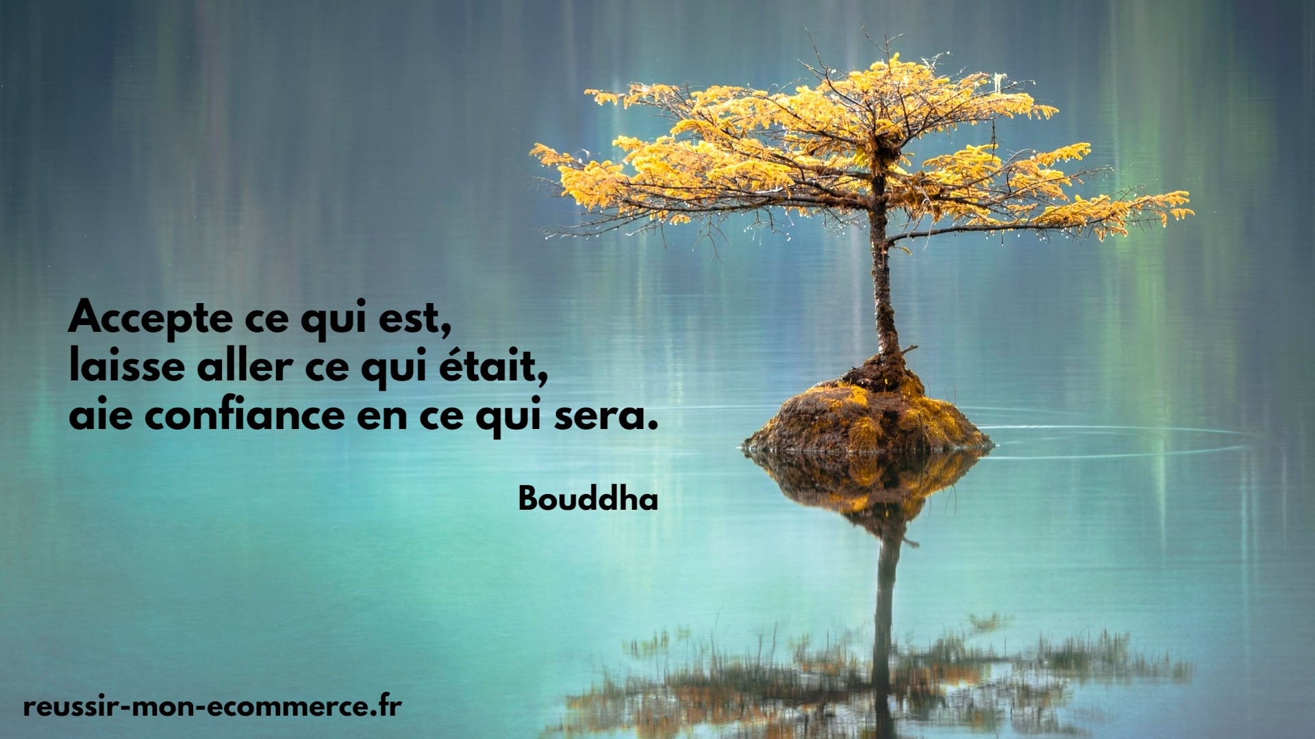 accepte-bouddha.jpg